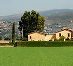 Il Casale Grande * Beroide