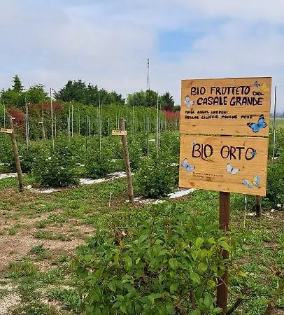Il Casale Grande Casa di campagna
