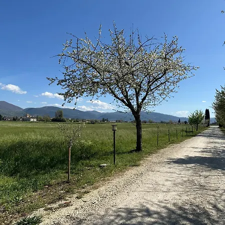 Agriturismo Il Casale Grande * Beroide