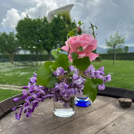 Agriturismo Il Casale Grande